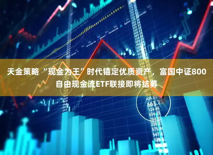 天金策略 “现金为王”时代锚定优质资产，富国中证800自由现金流ETF联接即将结募