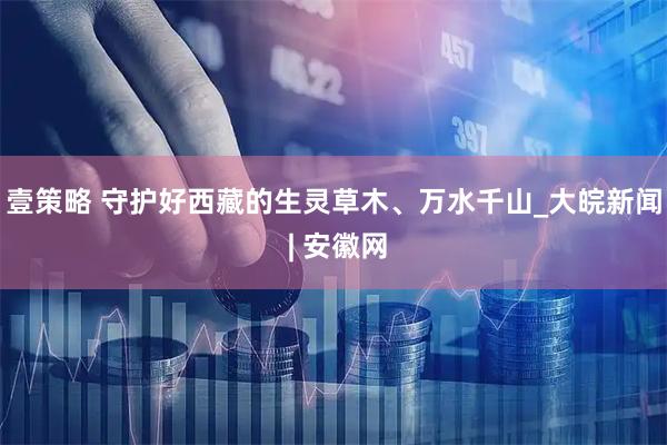 壹策略 守护好西藏的生灵草木、万水千山_大皖新闻 | 安徽网