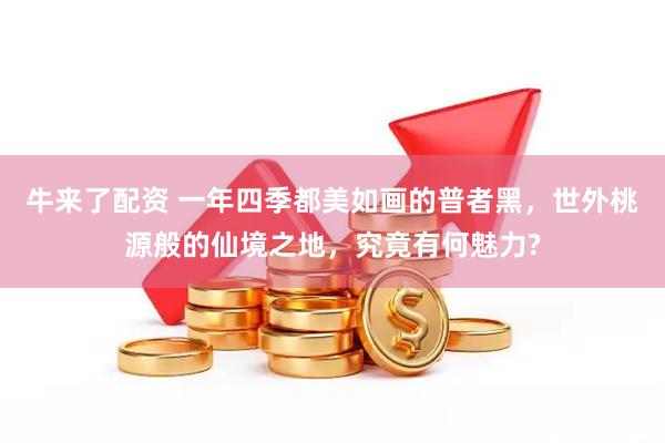 牛来了配资 一年四季都美如画的普者黑，世外桃源般的仙境之地，究竟有何魅力?