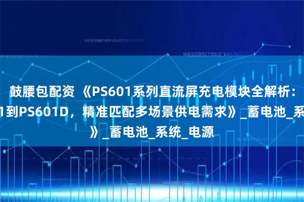 鼓腰包配资 《PS601系列直流屏充电模块全解析：从PS601到PS601D，精准匹配多场景供电需求》_蓄电池_系统_电源