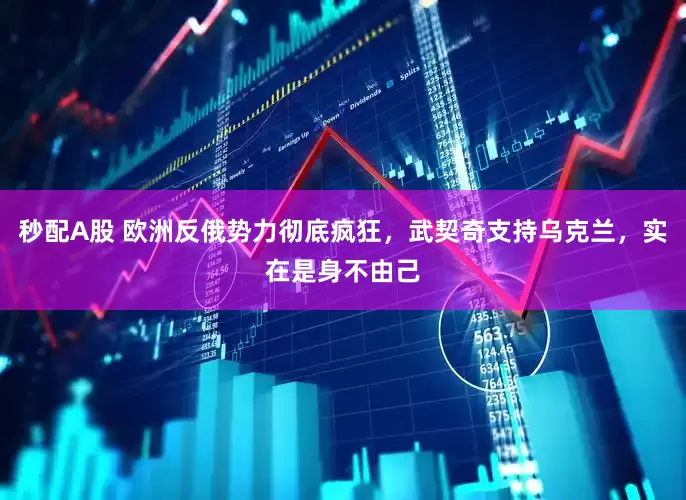 秒配A股 欧洲反俄势力彻底疯狂，武契奇支持乌克兰，实在是身不由己